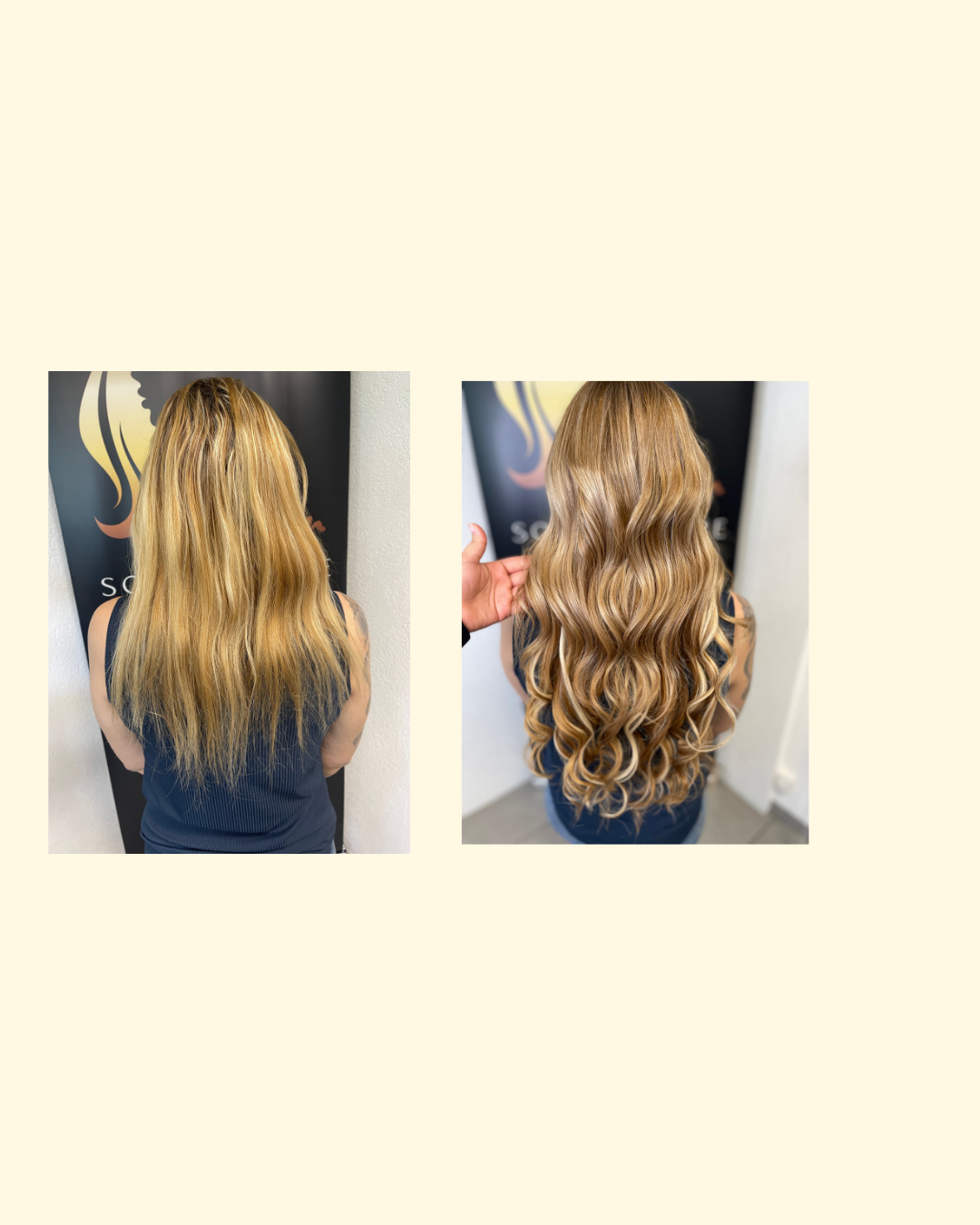 Bilder DS Extensions