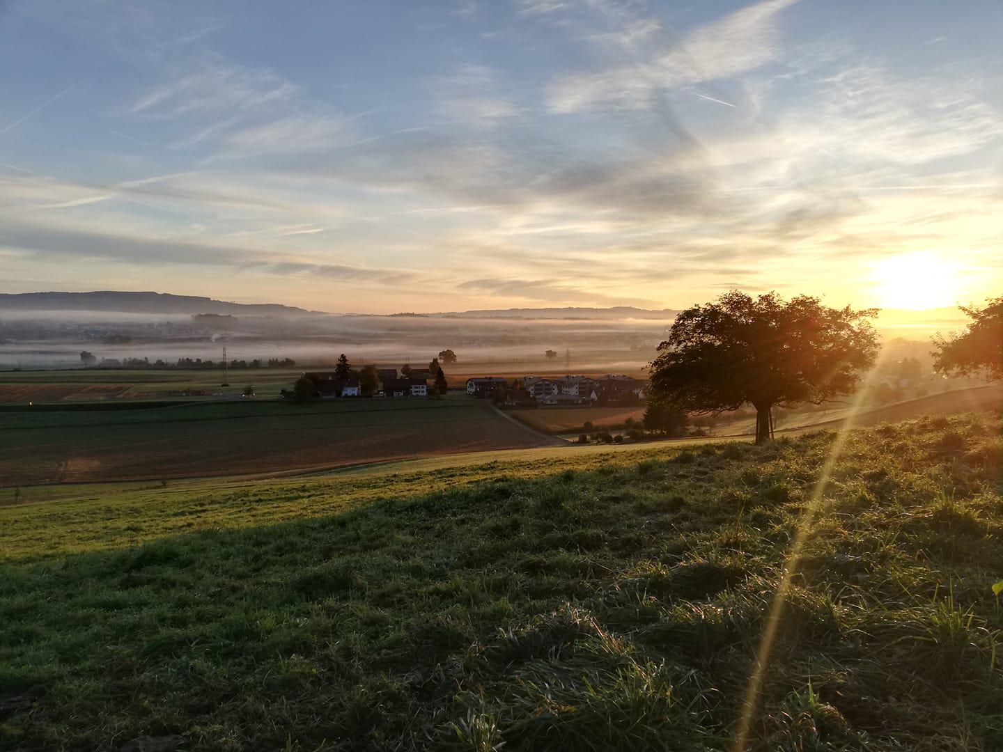 Gasthaus Linde, Wohlerstrasse 52 in Büttikon AG