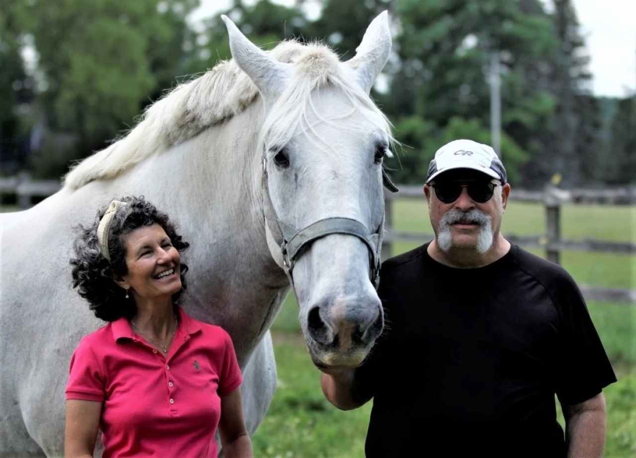 EAHAE International Association for Horse Assisted Education in Schkölen