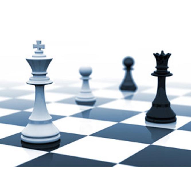 Schach & Spiele Mag Michael Ehn Logo
