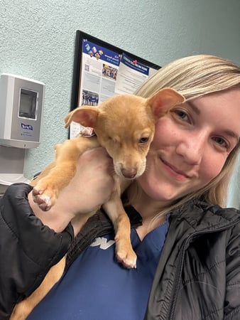 Images VCA Preston Park Animal Hospital