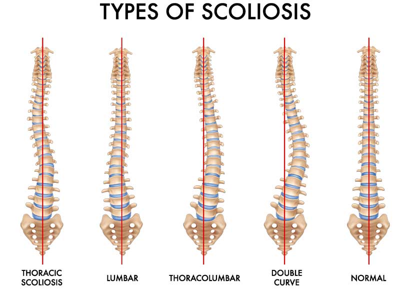 Images Greater Carolina Clinic of Chiropractic
