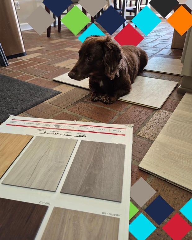 Images Floor Coverings International of Panama City