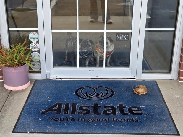 Images Tracie Bibb: Allstate Insurance