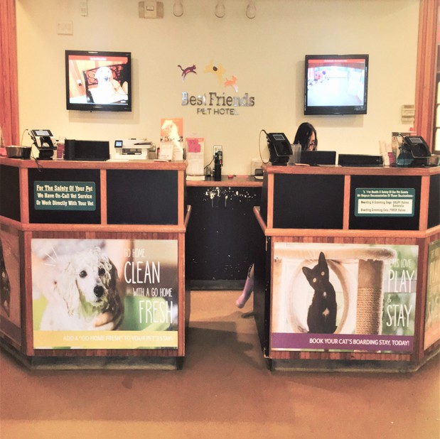 Images Best Friends Pet Hotel