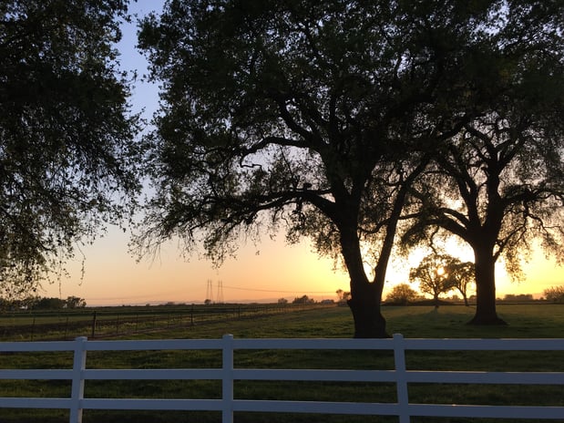 Images Quality Tractor