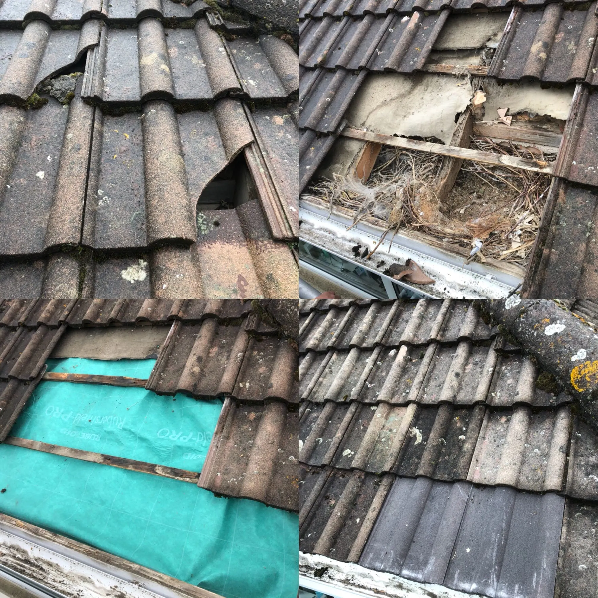 Images Aqua Power Washing
