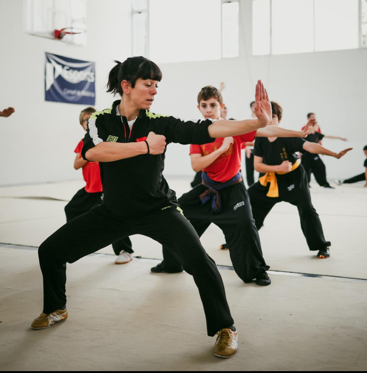 Images Escuela De Wushu/kung Fu Jingwu