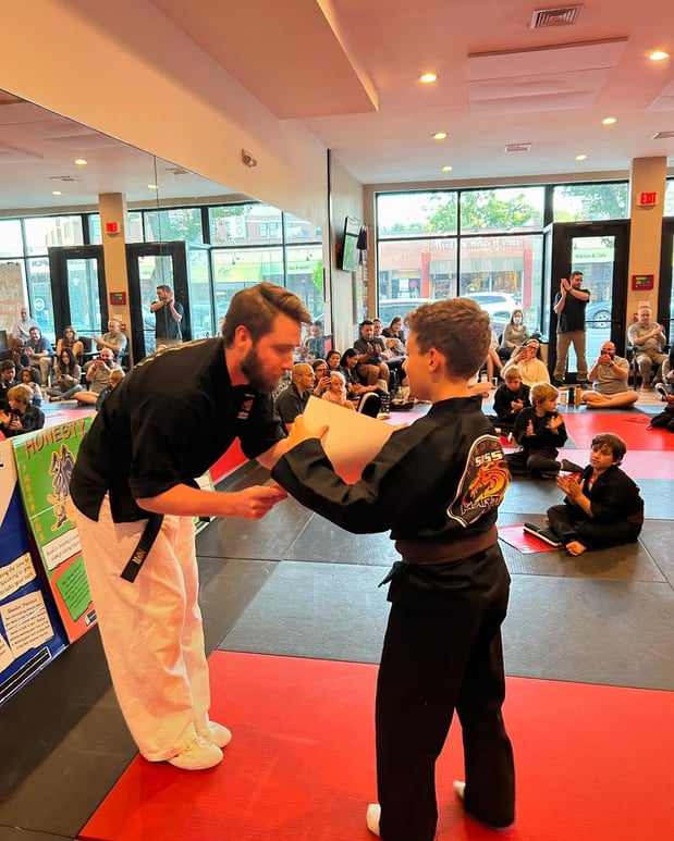 Images SDSS Martial Arts of Newton