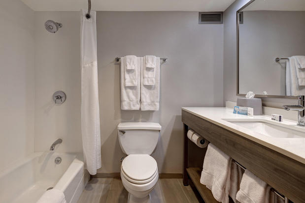 Images Holiday Inn Express & Suites Central Omaha by IHG