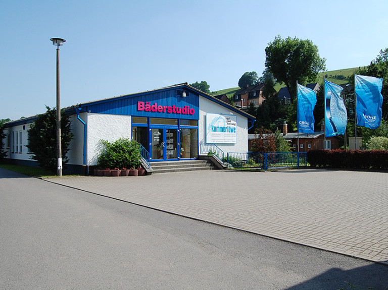 Bild 3 Kummerlöwe bad-pool-heizung in Olbernhau