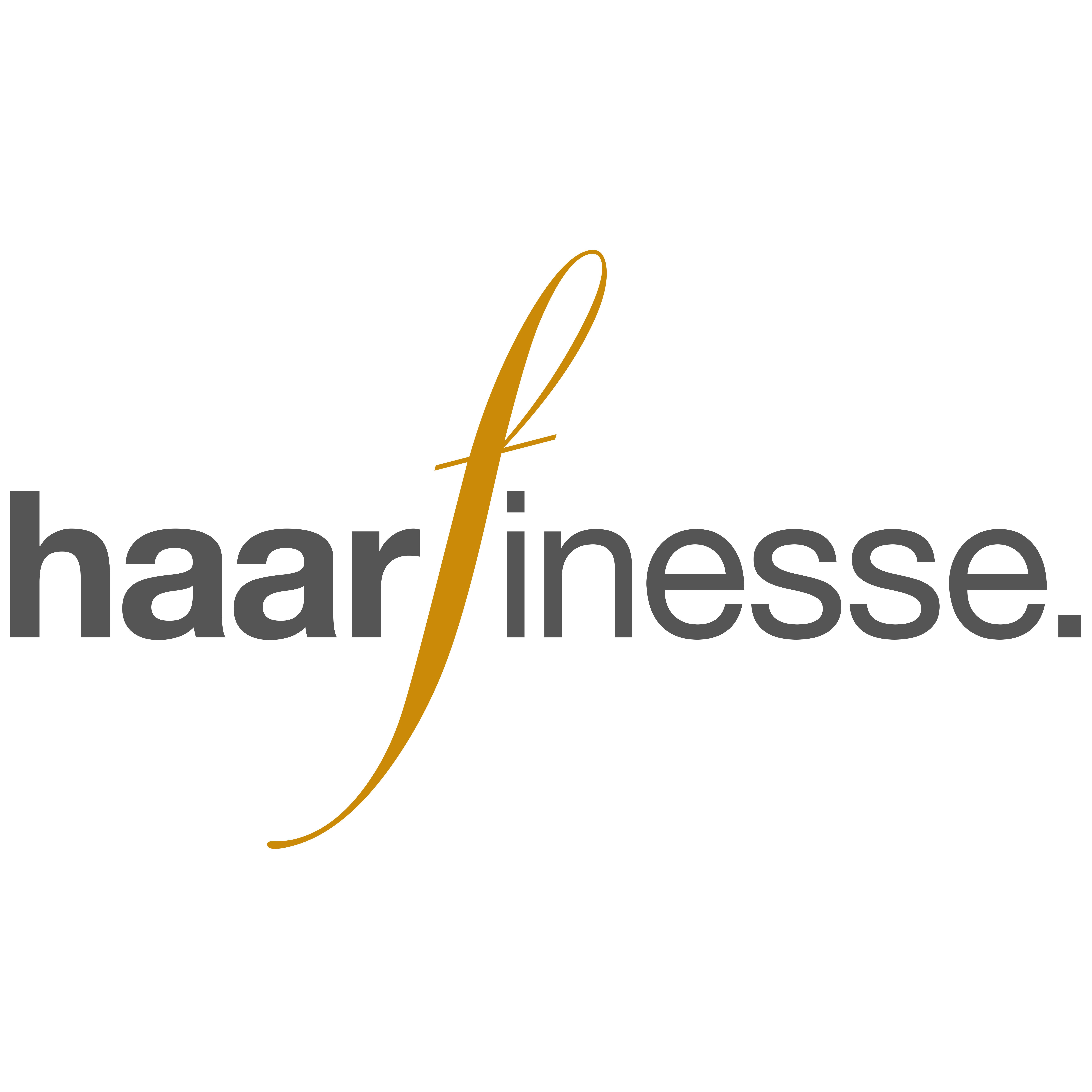 haarfinesse. in Nürnberg - Logo