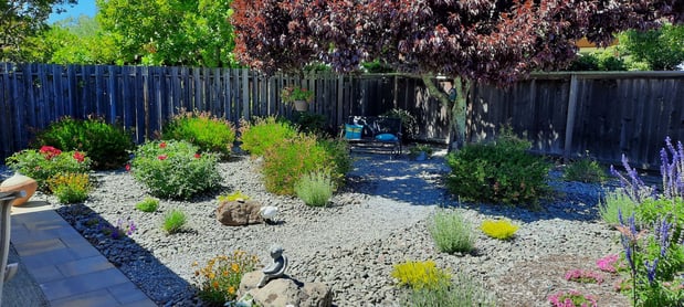 Images Paz Landscape