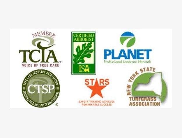 Red Cedar Arborists & Landscapers, Inc