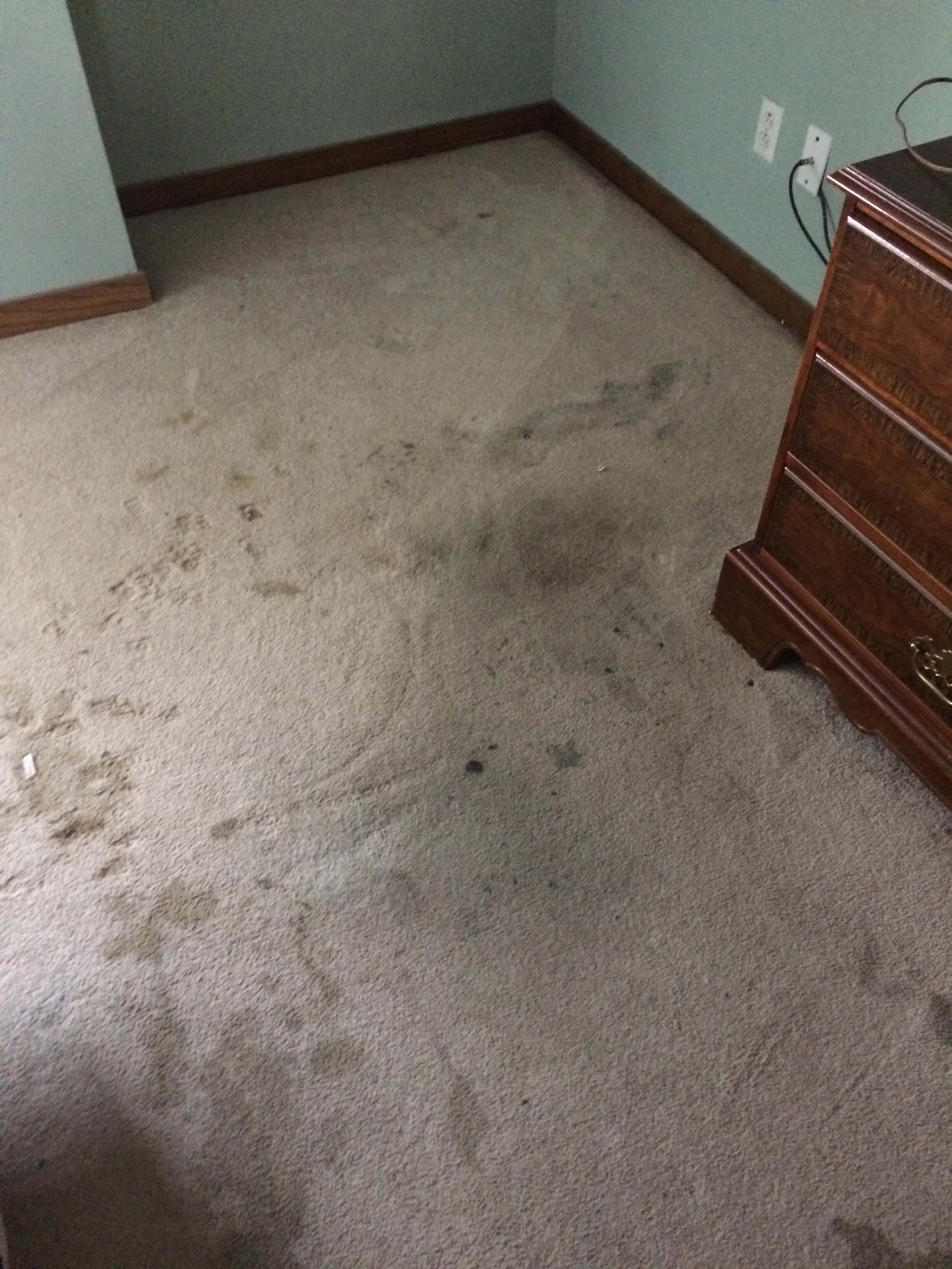 Before photo of Jeff's Chem-Dry carpet stain removal