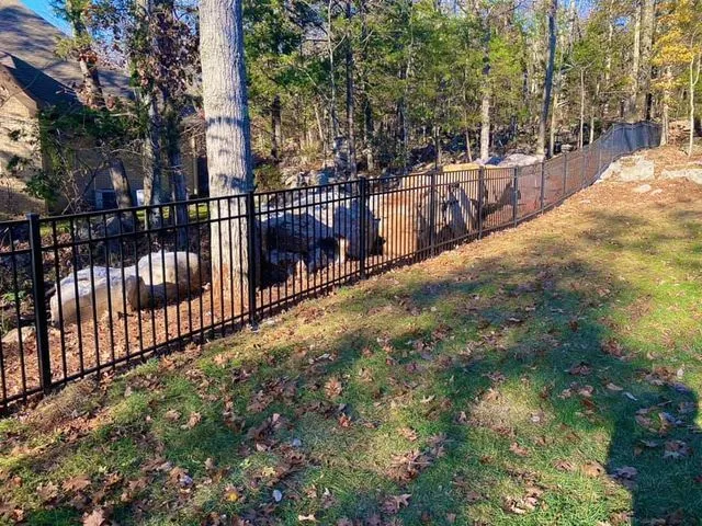 Images Alabama's Fencing