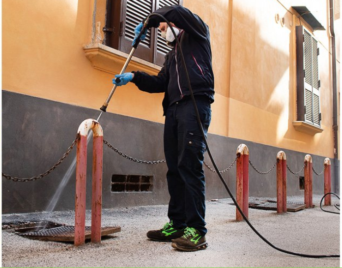 Images Derattizzazioni e Disinfestazioni D'Orta