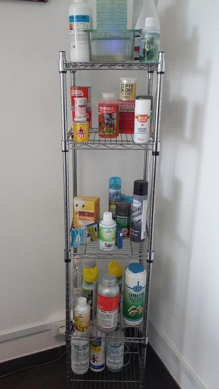 Images Ekosistem Ambiente