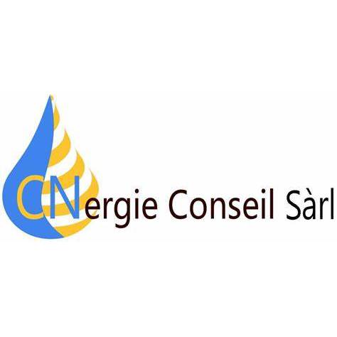 CS Energie Sàrl, succursale de Grimisuat Logo