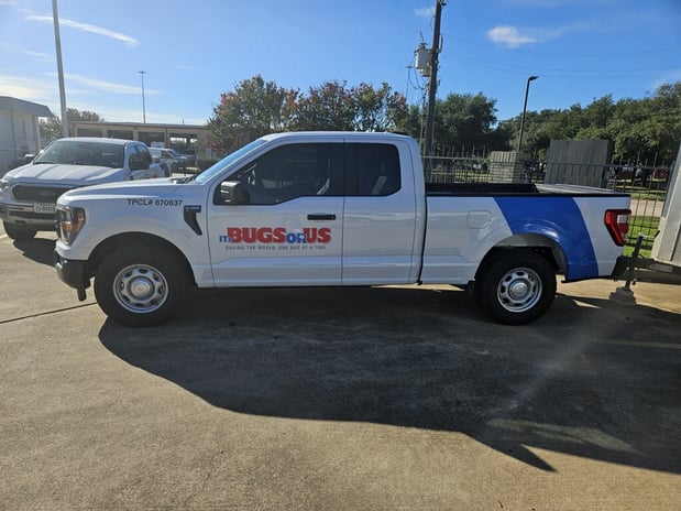 Images Its Bugs Or Us - Dallas