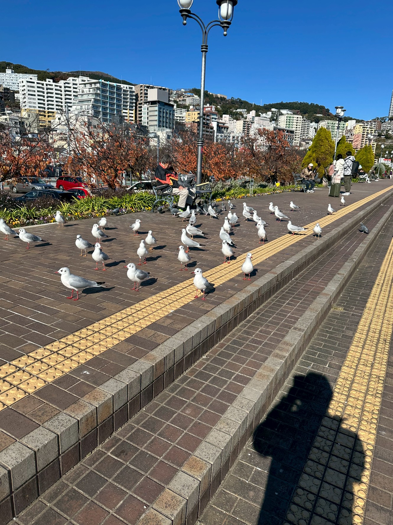 Images 熱海 天空のホテル 夢寿庵