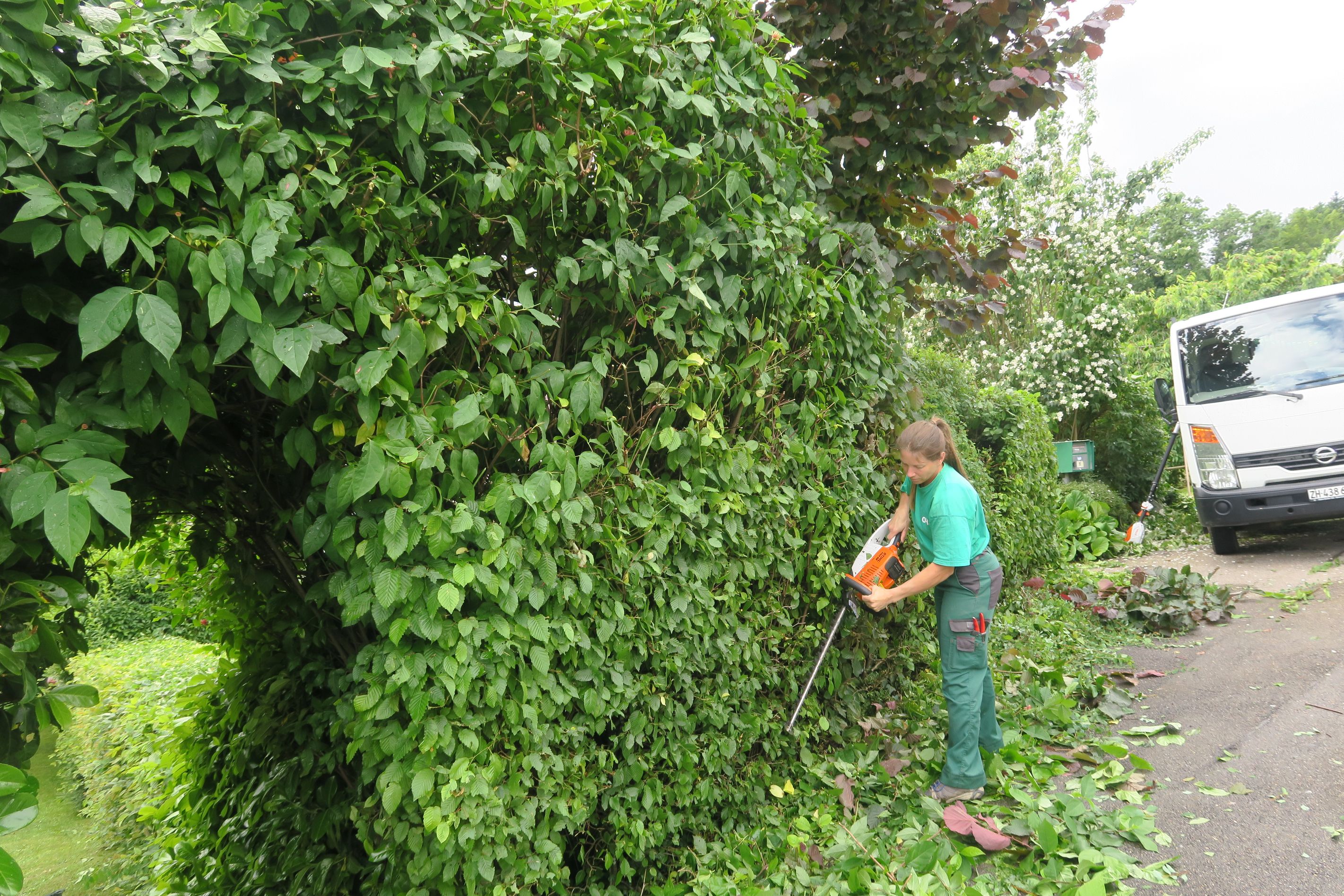 Bilder Hans Bader AG