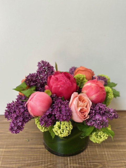 Images Jane's Roses & Flowers