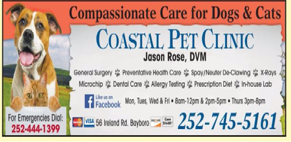 Images Coastal Pet Clinic