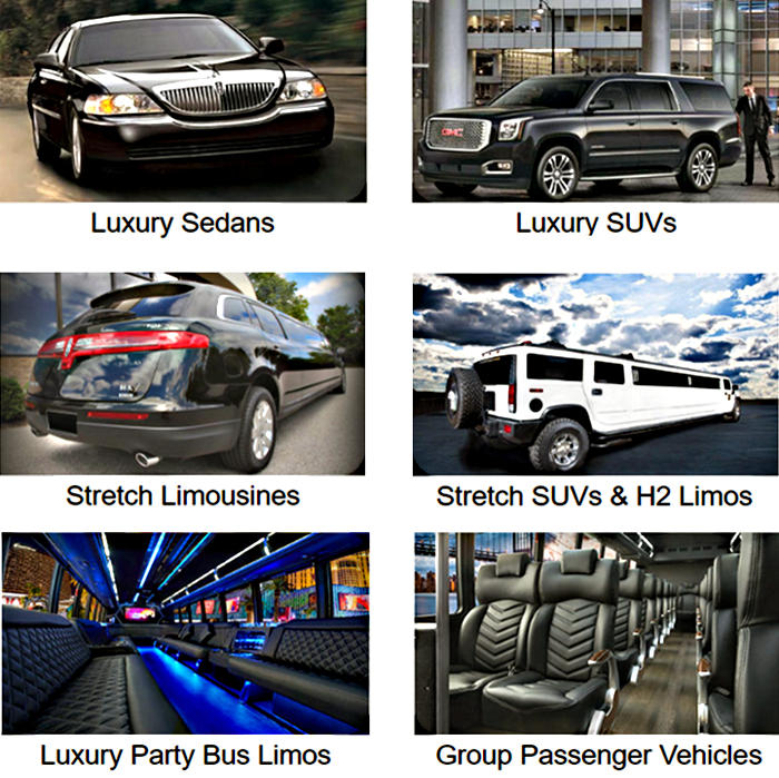 Aspen Limo and Car Services Photo