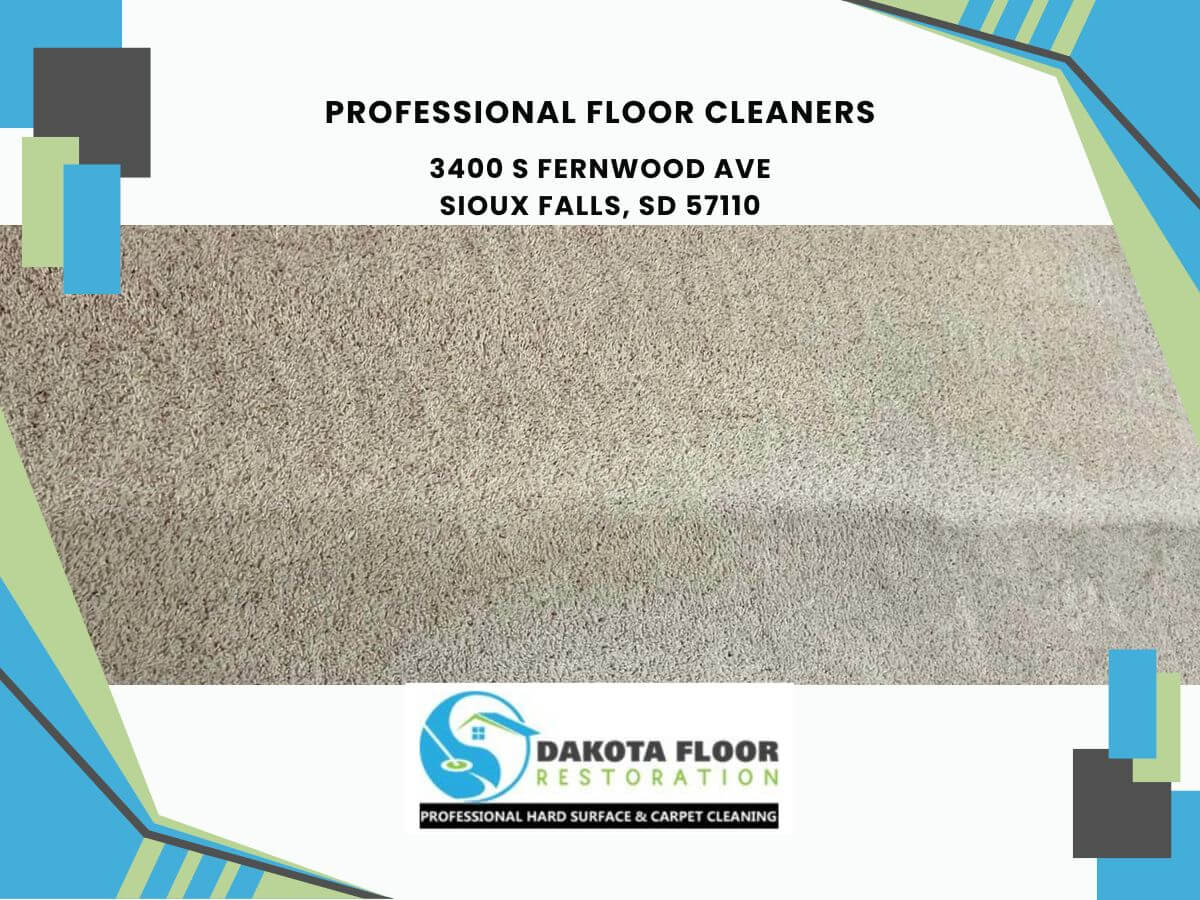 professional floor cleaners