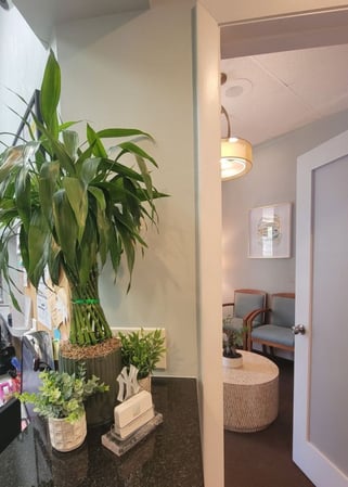 Images Brian Snyder, DDS