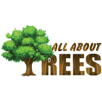 All About Trees - Shreveport, LA 71106 - (318)415-0199 | ShowMeLocal.com