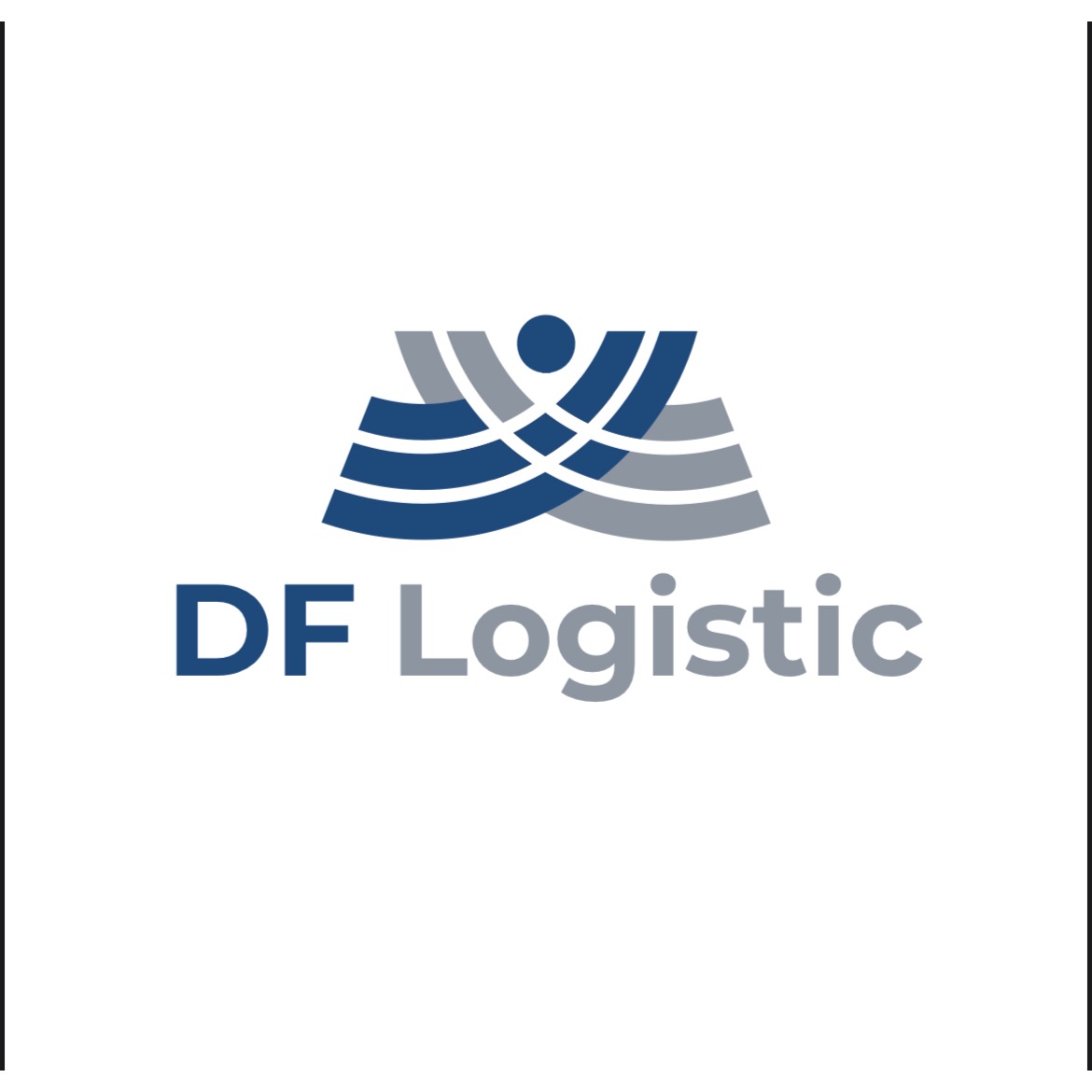 Logo DF Logistic Logo
