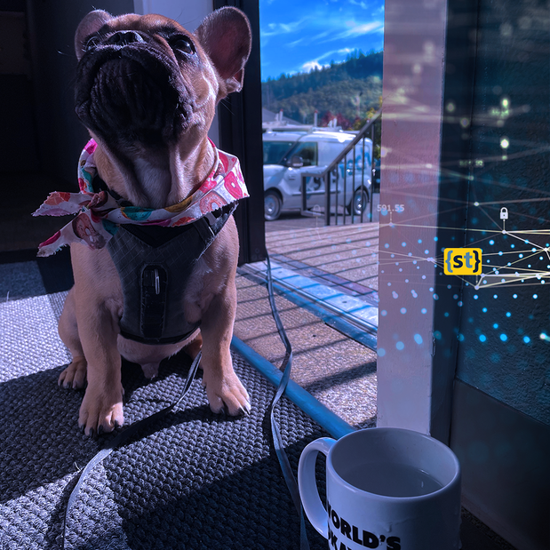 Images Systech Consulting