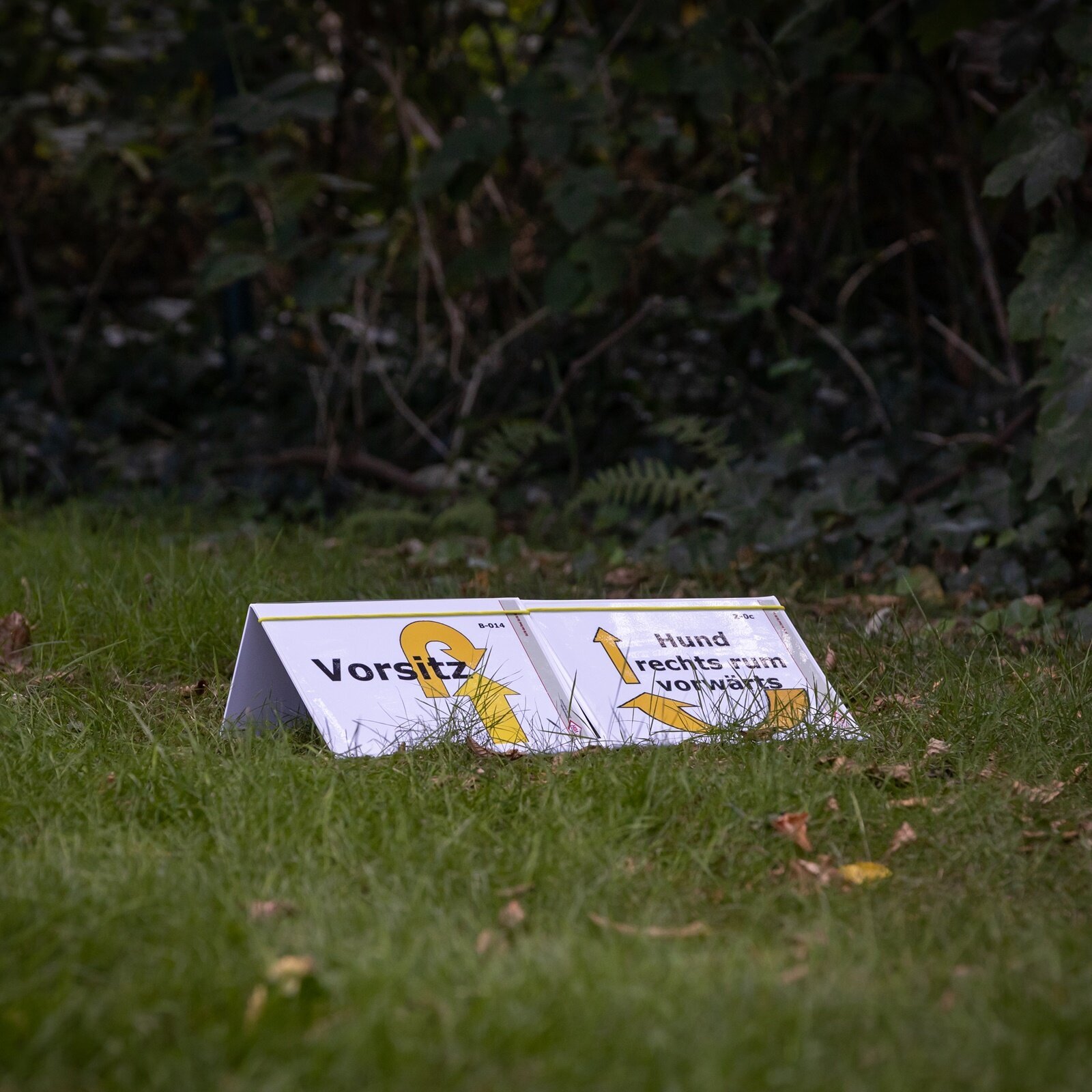 Hundetraining Zum Dream-Team in Castrop-Rauxel