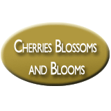 Cherries Blossoms And Blooms