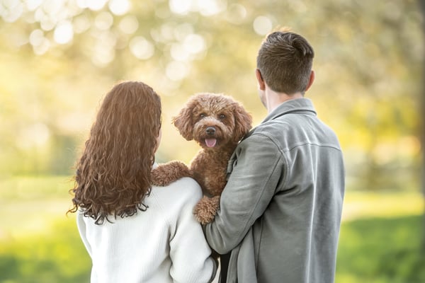 BC Tierfotografie