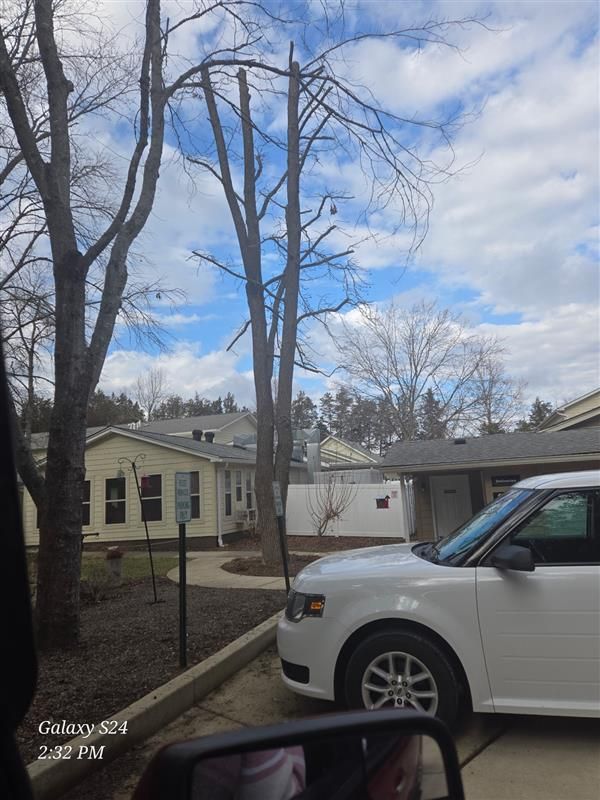 RLB Tree Service Image