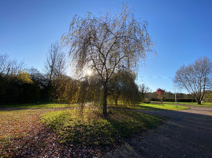 Images Haywood Farm Caravan and Camping Park