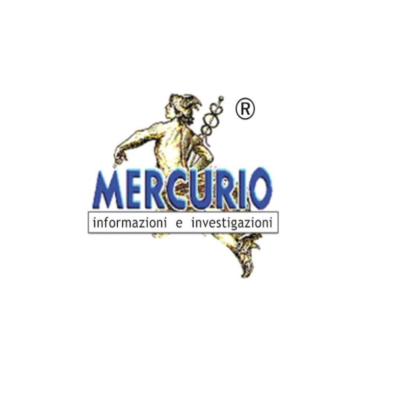 Images Investigazioni Mercurio - Indagini Patrimoniali