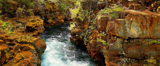 Images Neilson Research Corporation