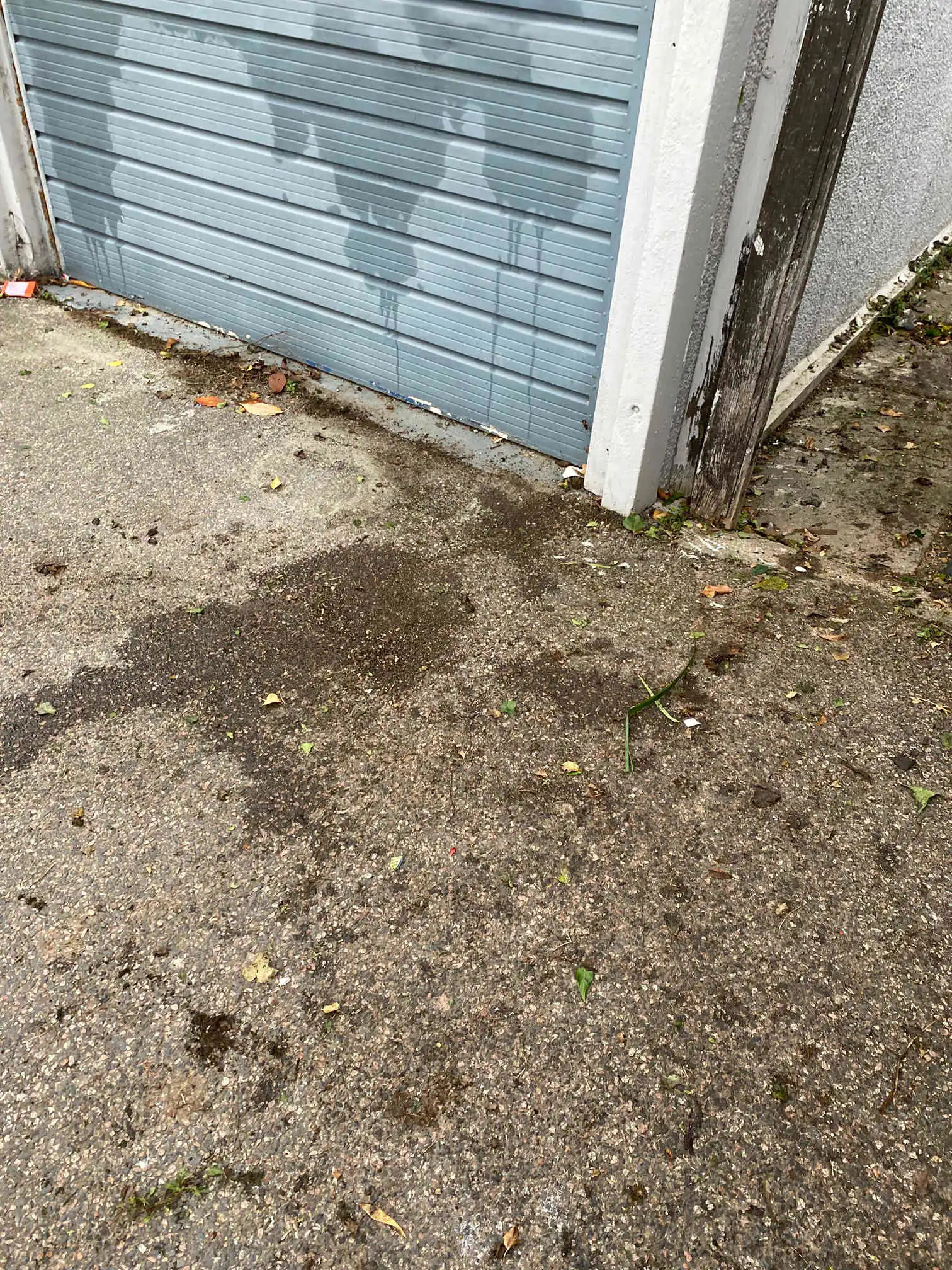 Images Always Clear Waste Removal