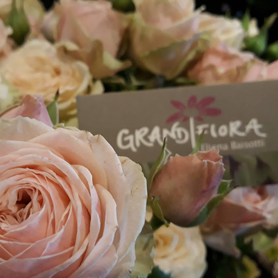 Bilder Grandiflora