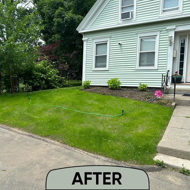 Images Backyard Revolution LLC Landscaping & Construction