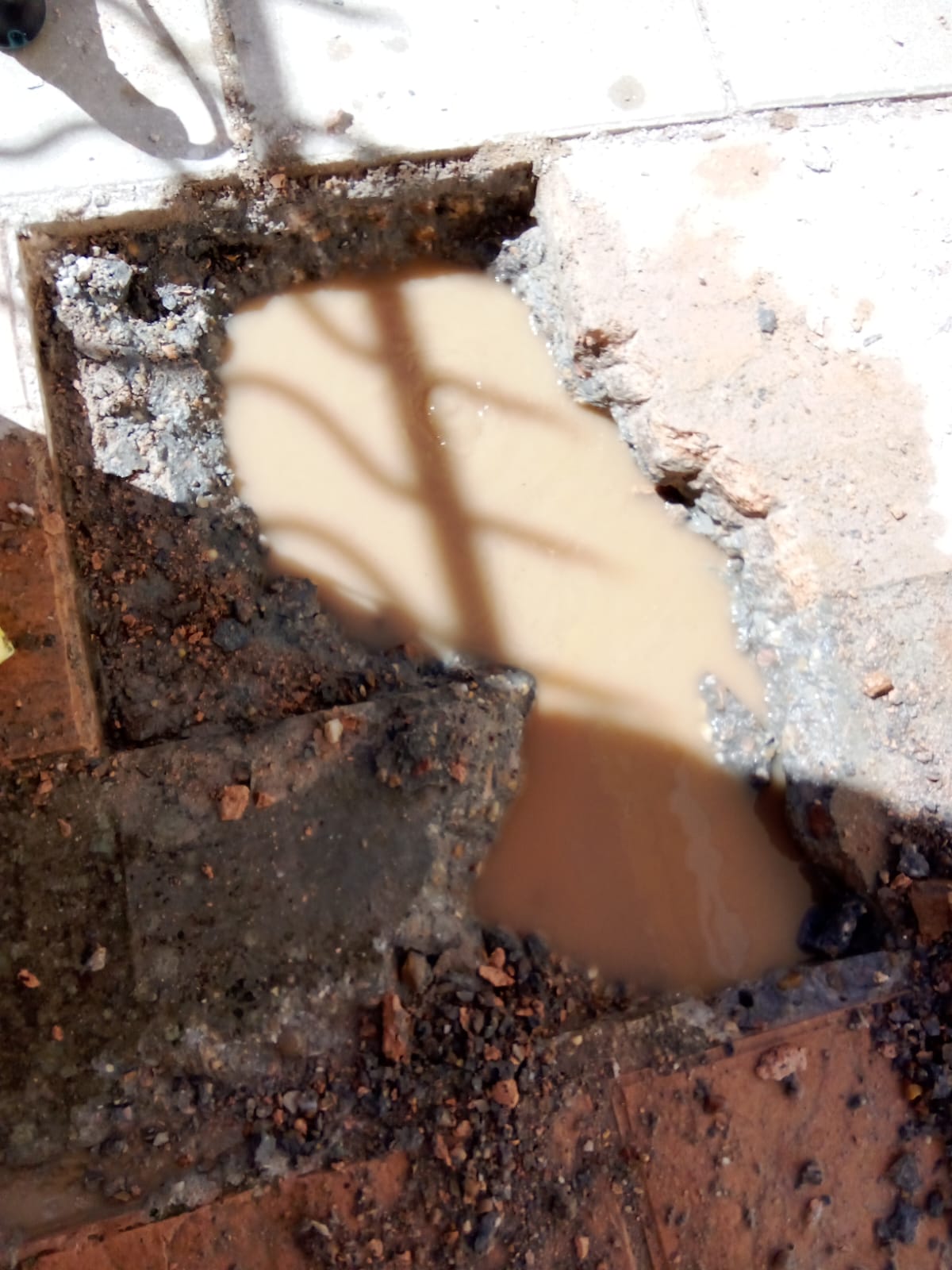 Images Reformas Carlos William