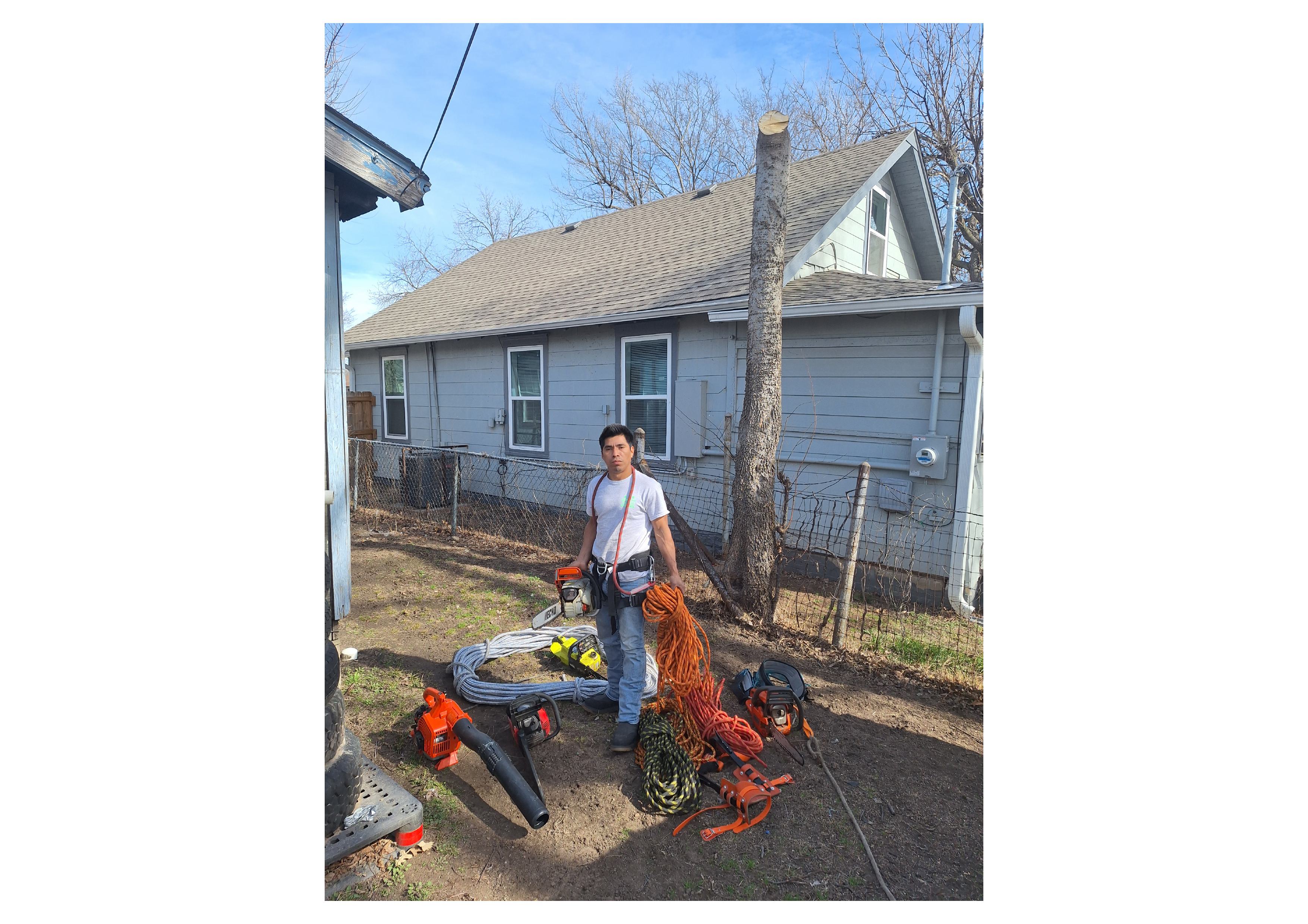 AR Lawn Care and Tree Service Image