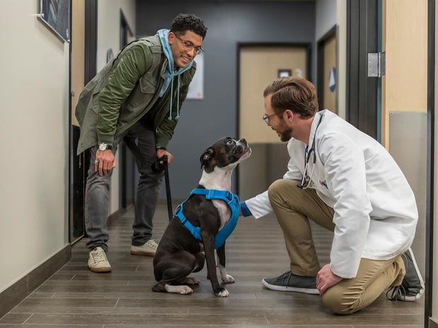 Images Banfield Pet Hospital