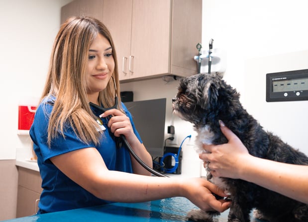 Images VCA Veterinary Hospital of Leon Springs