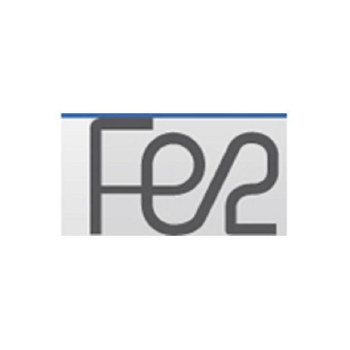 FE2 Logo