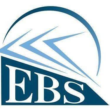Ellison Business Services Llc